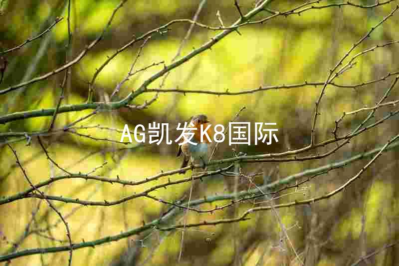 AG凯发K8国际